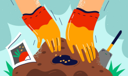 1706873259-aa83dc9a6e5f3f3b