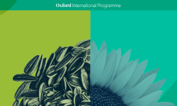 1732729145-26a8c353a08c7eef