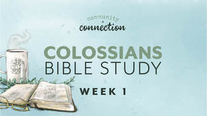 1769716447-9252dcef55e12793