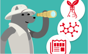 1774286458-ab03b6e5235ae9af