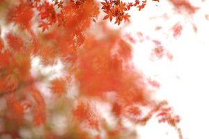 1588237872-05632731a7a1fcde