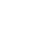 Carahsoft
