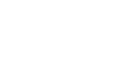 Guidewire